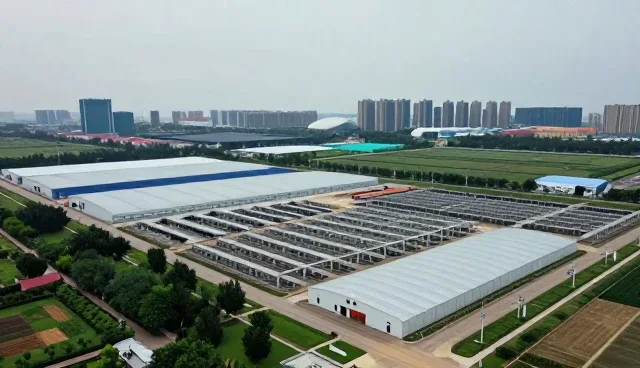 技术培训技术服务:湖北耀威木业有限公司经验谈